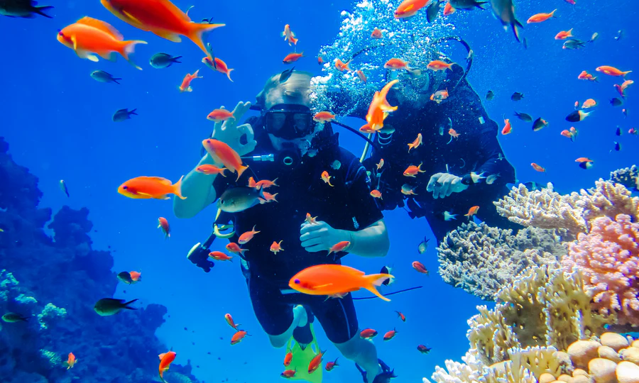 Fethiye’de Dalış Deneyimi: Maviliklere Yolculuk